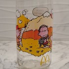 Vintage McDonald's 1971 Camp Snoopy Peanuts Character Glass Tumbler Cup Clear — photo 8