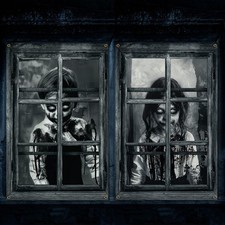 2 Pcs Scary Halloween Curtain Window Silhouette Cover Gothic Horror