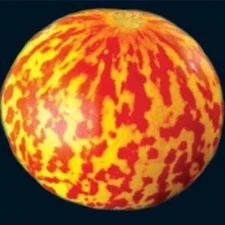 Rare Tigger Melon 30 Seeds - Heirloom - Delicious -Easy--Buy from USA with "Seed