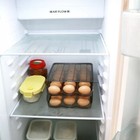 Foto 11 di 12