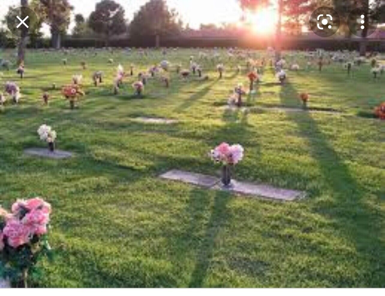 Brookside cemetery burial plots, Hwy 59 and Lauder Rd., Houston Tx eBay