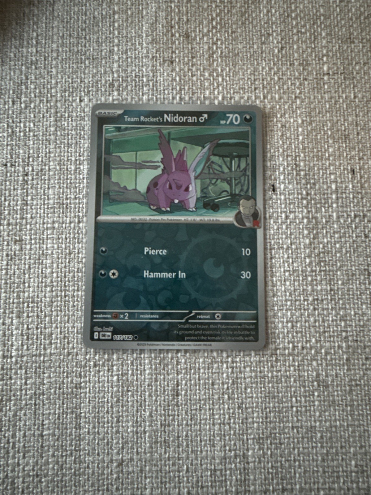 Team Rocket's Nidoran M Reverse Holo 117/182 - Destined Rivals -NM Pokemon Fresh