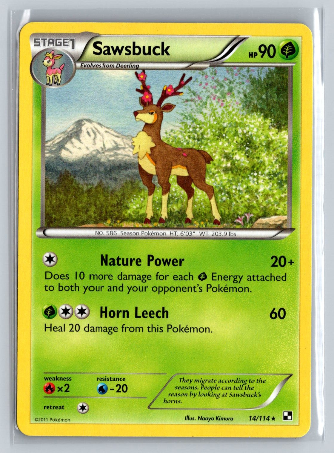 Pokémon TCG - Sawsbuck Black and White 14/114 - NM