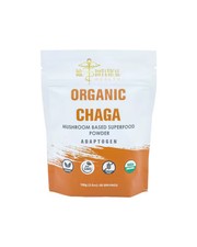 Worldwide 2 X Dr. Botanical Health Organic Chaga Mushroom Powder -- 3.5 oz