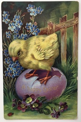 A Happy Easter Postcard Chick Hatching from Purple Egg Blue Violet Flowers