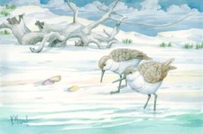 Ceramic Tile Mural Kitchen Backsplash - Driftwood Sandpipers - Birds Beach Art