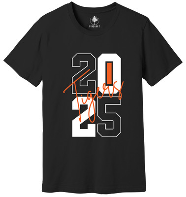 Tigers Mascot Shirt, Team Mascot Shirt, School Mascot T-Shirt, Tiger Team Spirit