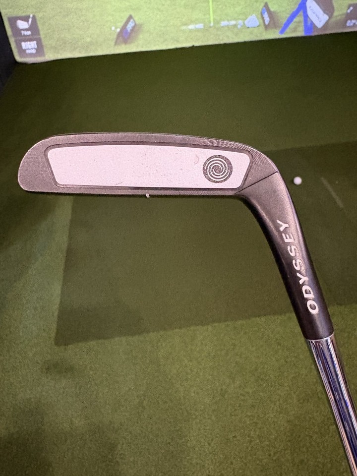LH Odyssey ProType PT 82 putter | eBay