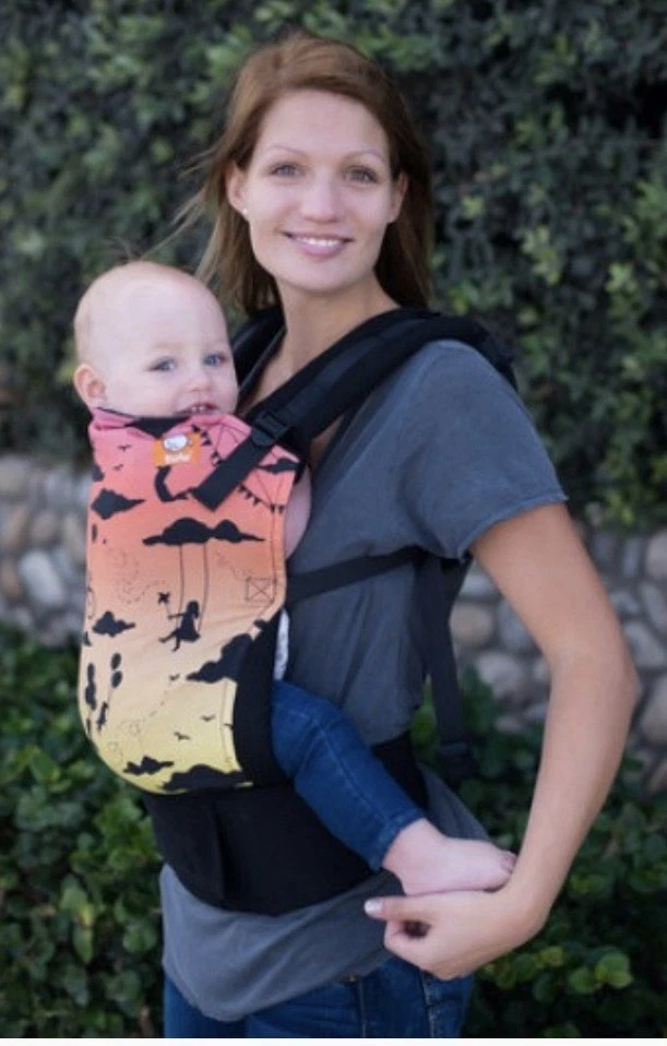 Tula Standard Baby Carrier - Daydreamer Spring Equinox