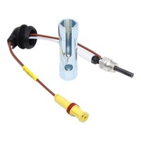 Eberspacher Espar Leuchtende Stecker Airtronic D2 D4 24V Heizung + Remove Tool