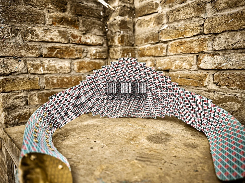 Rey Mysterio Signature Series Wrestling Championship Replica Title Belt Adult - Image 3 of 4