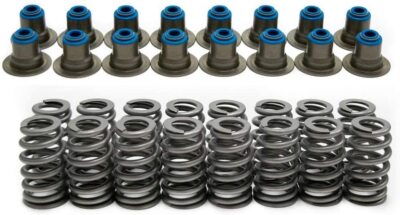 Texas Speed TSP LS6  .550'' Lift Beehive Valve Springs Kit w/ Valve Stem Seals
