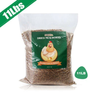 LUCKYQ 11 LBS Bulk Dried Mealworms Non-GMO for Wild Birds Blue Bird Chickens Hen Treats