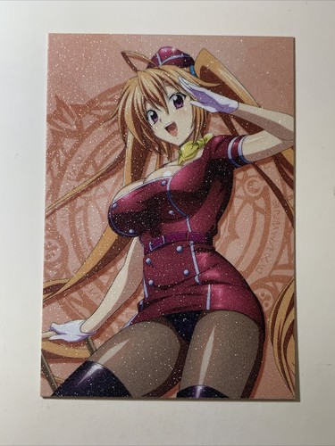 Captain Irina Shidou High School DxD Sexy Goddess Anime Doujin Waifu Art Card - Picture 1 of 7