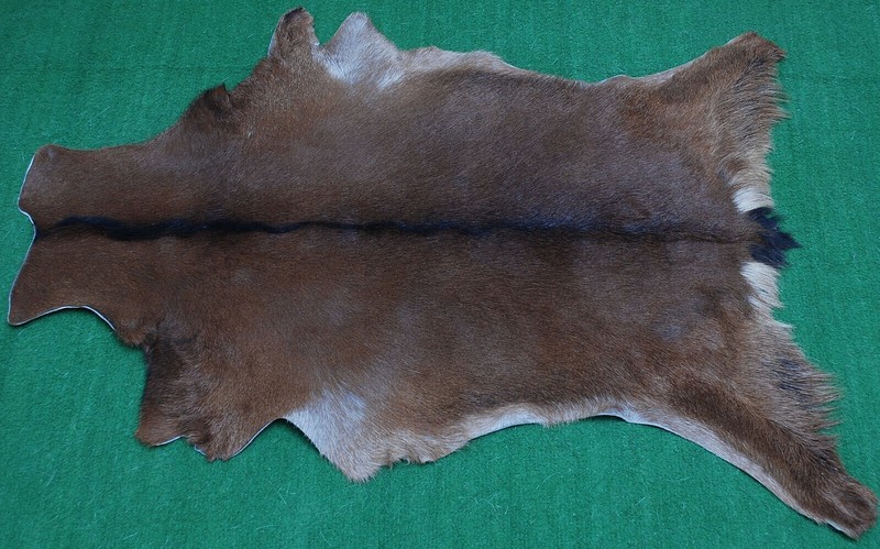GOAT Western taxidermy Hide Rug Natural Pattern Fur Goat Hide Rode SA-3910