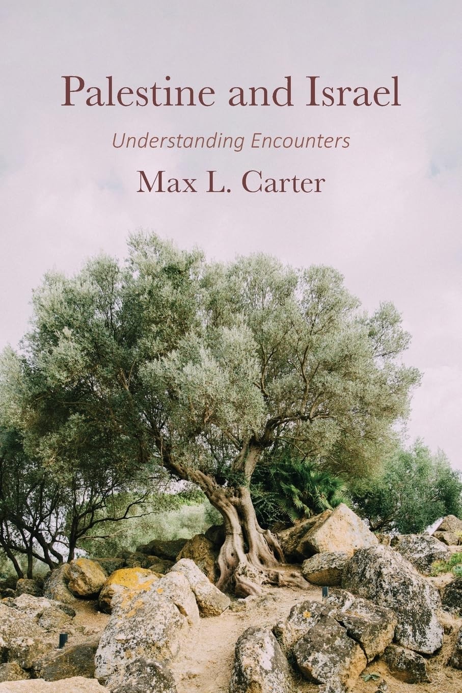 Max L Carter Palestine and Israel (Paperback)