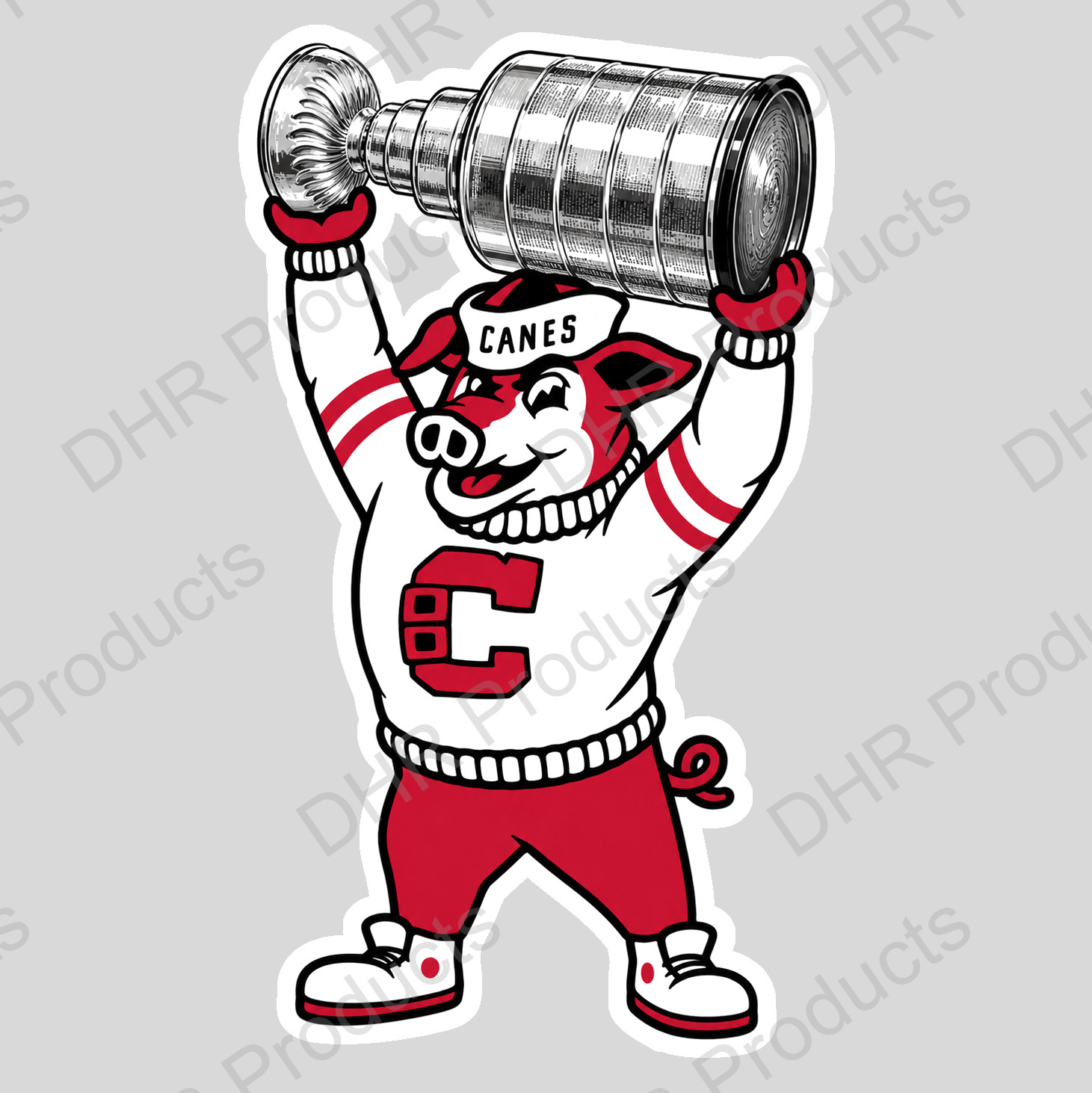 Carolina Hurricanes Stanley Cup Vinyl Sticker Decal 16