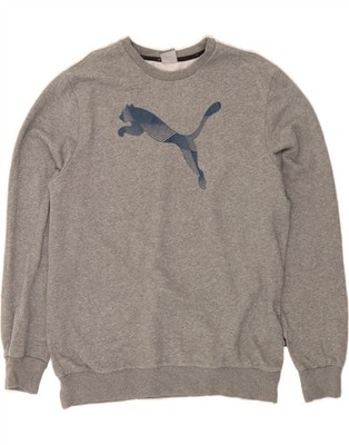 Puma Herren Graphic Sweatshirt Pullover Large Grau Baumwolle DI82
