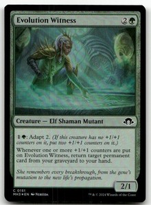 Evolution Witness 151 Modern Horizons 3 Foil