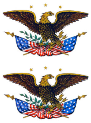 Vintage Image Retro Patriotic Early American Eagle Waterslide Decals MIS533