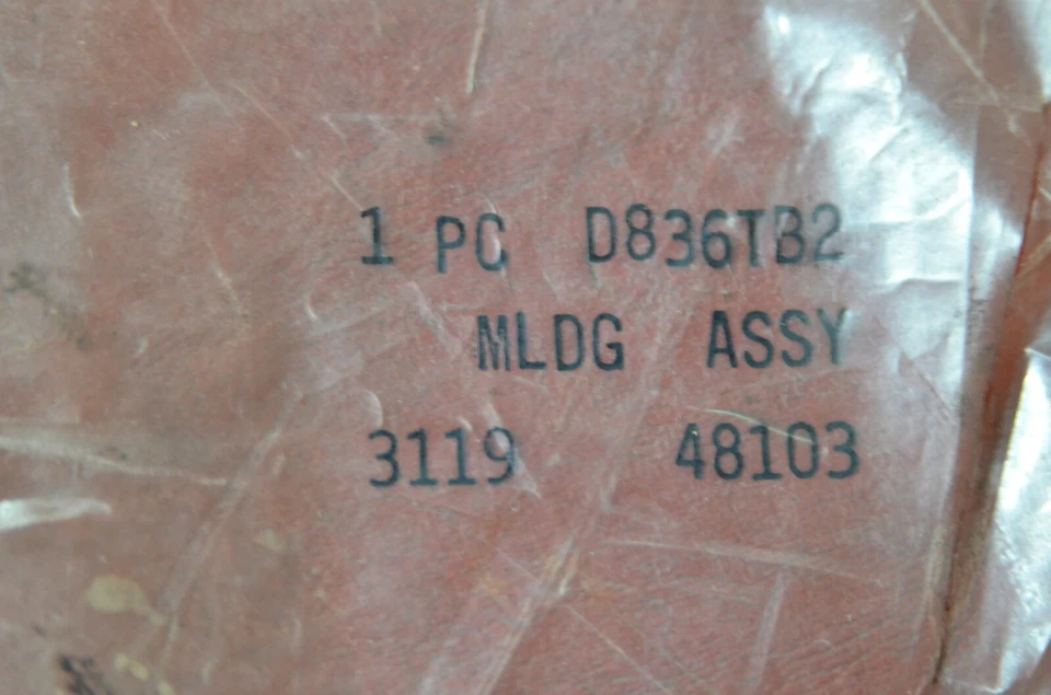 Dodge Omni Horizon 1978-1982 paso delantero puerta lateral ventana barrido moldura moldura Foto 4 de 4