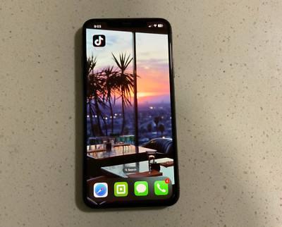 Apple iPhone 11 Pro Max - 64 GB - Gray (T-Mobile) WITH TIKTOK