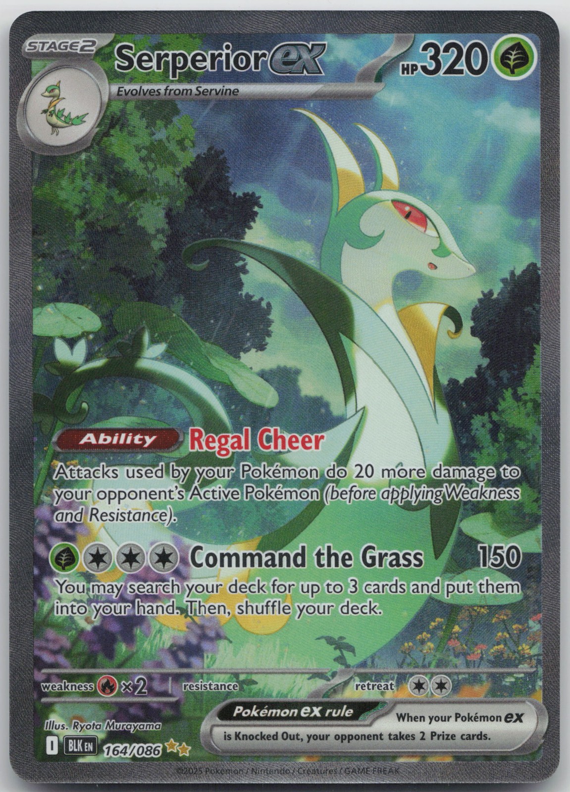 Serperior ex Special Illustration Rare SV: Black Bolt 164/086 NM