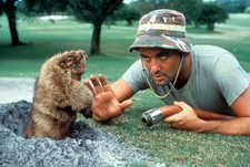 Bill Murray Caddyshack Groundhog 4x6 Picture Celebrity Print