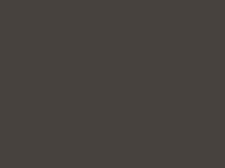 Silvercloth Anti-Tarnish Protection For Silver Fabric by the yard -Brown D267.01