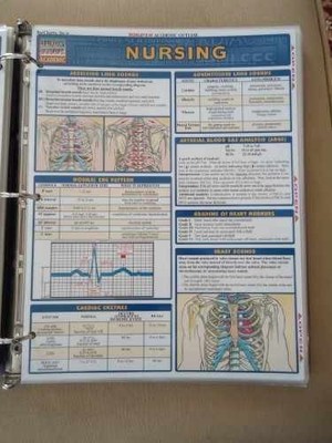 Nursing (Quickstudy: Academic) - Pamphlet, by BarCharts Inc. - Very Good