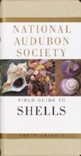 National Audubon Society Field Guide to North American Seashells - VERY GOOD