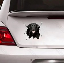 Labrador Retriever Anatomy Sticker - 5" Waterproof Vinyl Decal For Cars & Laptops