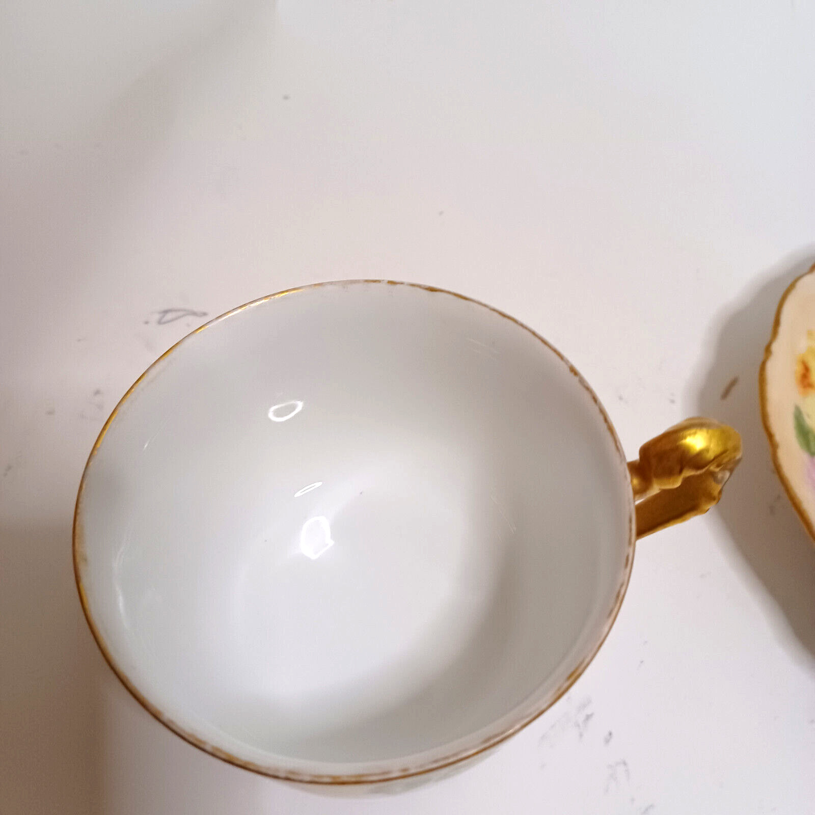 T&V France Limoges Roses Cup and Saucer Tressemann & Vogt Depose