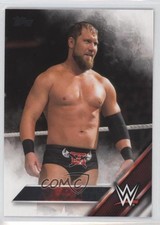 2016 Topps WWE Michael Mcgillicutty Curtis Axel #16 w7v