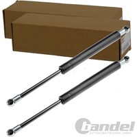 2X Nty Gasfedern KOFFERRAUM-LIFTER Passend FüR Audi 80 90 | AE-AU-007