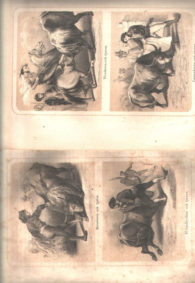 2 lithographierte getönte Tafeln mit 4 Abb. zum spanischen Stierkampf zeigt Ma - Bild 1 von 1
