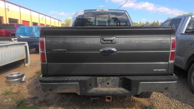 Chassis ECM Temperature Fits 11-12 FORD F150 PICKUP 2025191