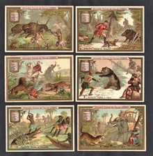 Hunting Animals Rare S234 Liebig Card Set 1889 Chasse Indian Egypt Africa Boar