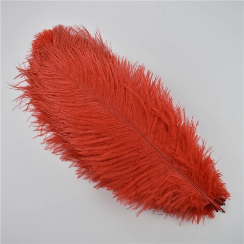 5pcs Ostrich Feathers 12 Colours Craft Cake Wedding Party Decoration - Picture 21 of 24
