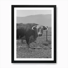 Untitled Photo, Possibly Related To Framed Wall Art Poster Canvas Print Picture