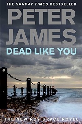 Dead Like You by James, Peter 0330456792 FREE Shipping
