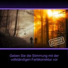 Bild 3 von 8
