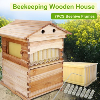 GOLDEN PALACE Cedarwood Auto Honey Beehive Bee Boxes House Bee Hives + 7 Beekeeping Bee Frames