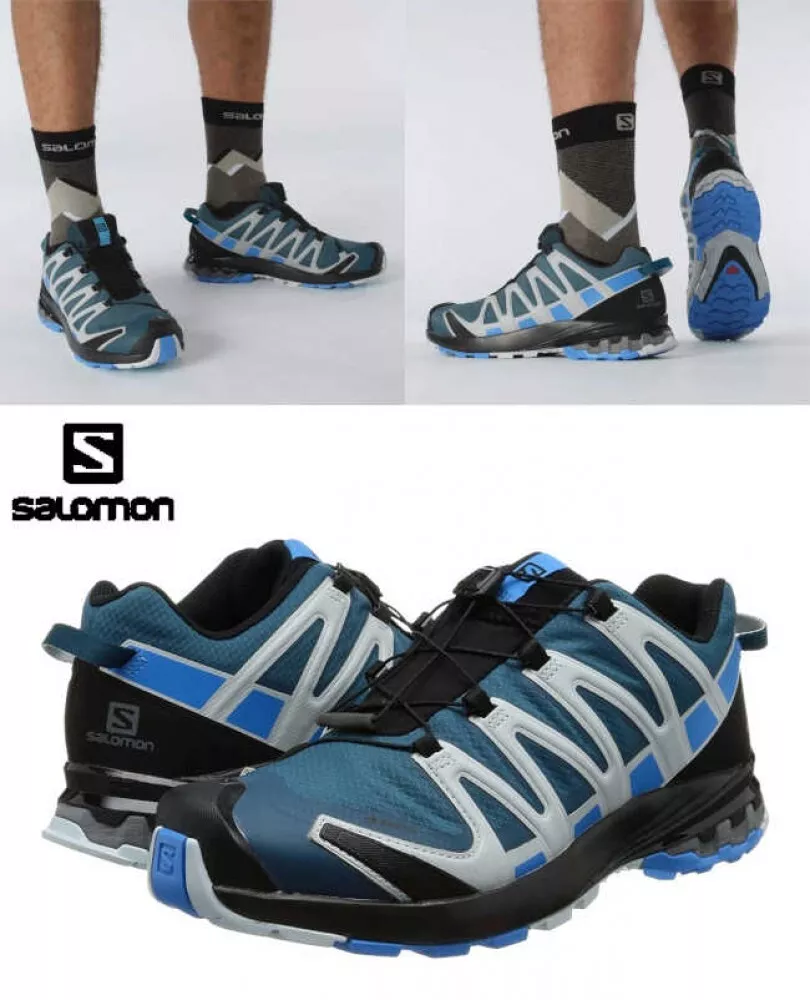 højttaler opdagelse Zeal SALOMON Men&#039;s Low-Top Trail Running Shoes XA PRO 3D V8 GORE-TEX Legion  Blue JPN | eBay