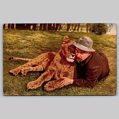 Postcard CV De Vry and 'Senator' Lincoln Park Chicago