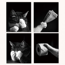 Funny Cat Bathroom Wall Art Prints Set of 4, Funny Cat Bathroom Decor, Cute P...