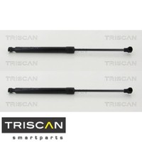 2X Gasfeder FüR Motorhaube Triscan 871025113 2 GasdäMpfer Motorraum