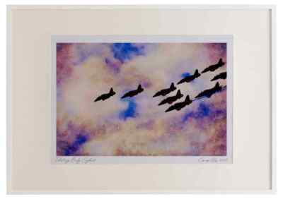 786024 BAe Hawk Concorde, Formation Aquarell Bilderrahmen