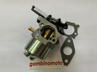 Vergaser Motor Briggs & Stratton Huayi Dov 100600 300530