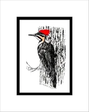 Pileated Woodpecker, Note Card, Pen and Ink, Matted